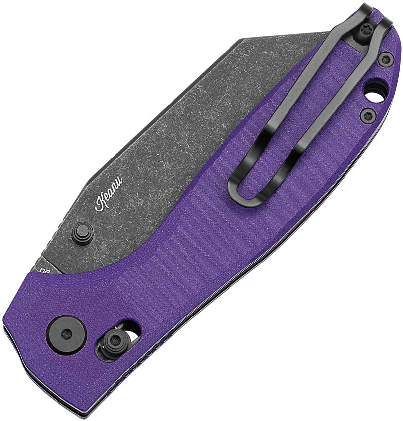 BTKG61E Bestech Knives Liger Bar Lock Purple