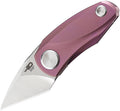 BTKT1913C Bestech Knives Tulip Framelock Purple