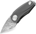 BTKT1913F Tulip Framelock Damasteel