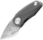 BTKT1913F Tulip Framelock Damasteel