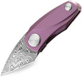 BTKT1913H Tulip Damasteel Framelock Purp