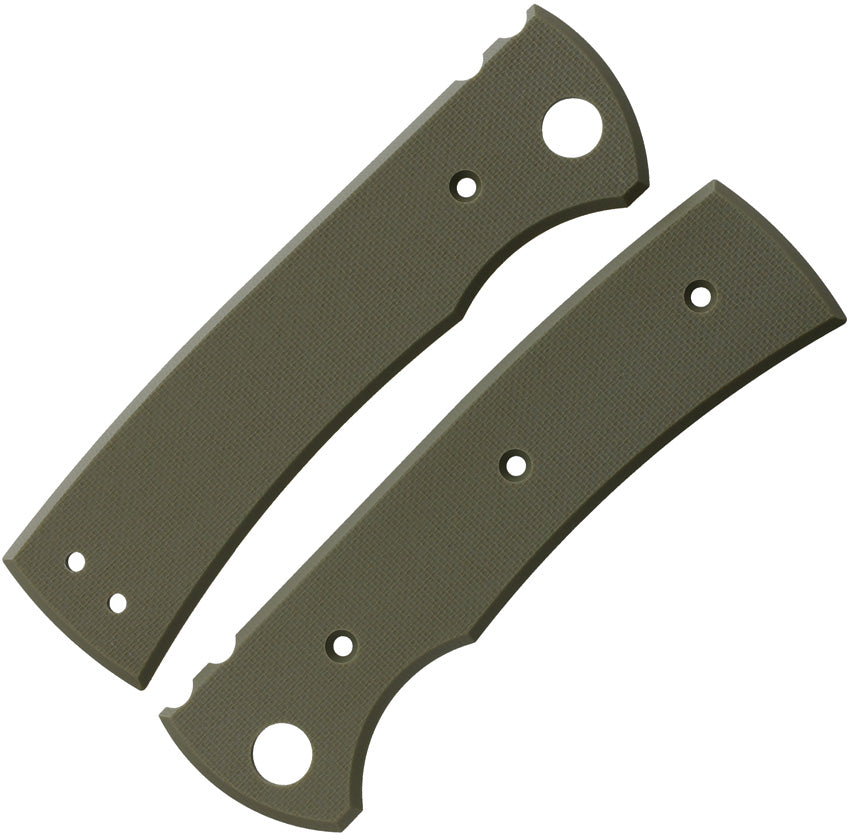 CHAV14262 229 Redencion Scales OD G10