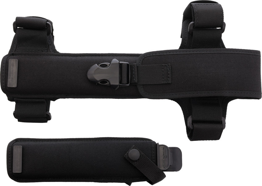 EX0339BLKOR 39-09 Ordinanza COFS