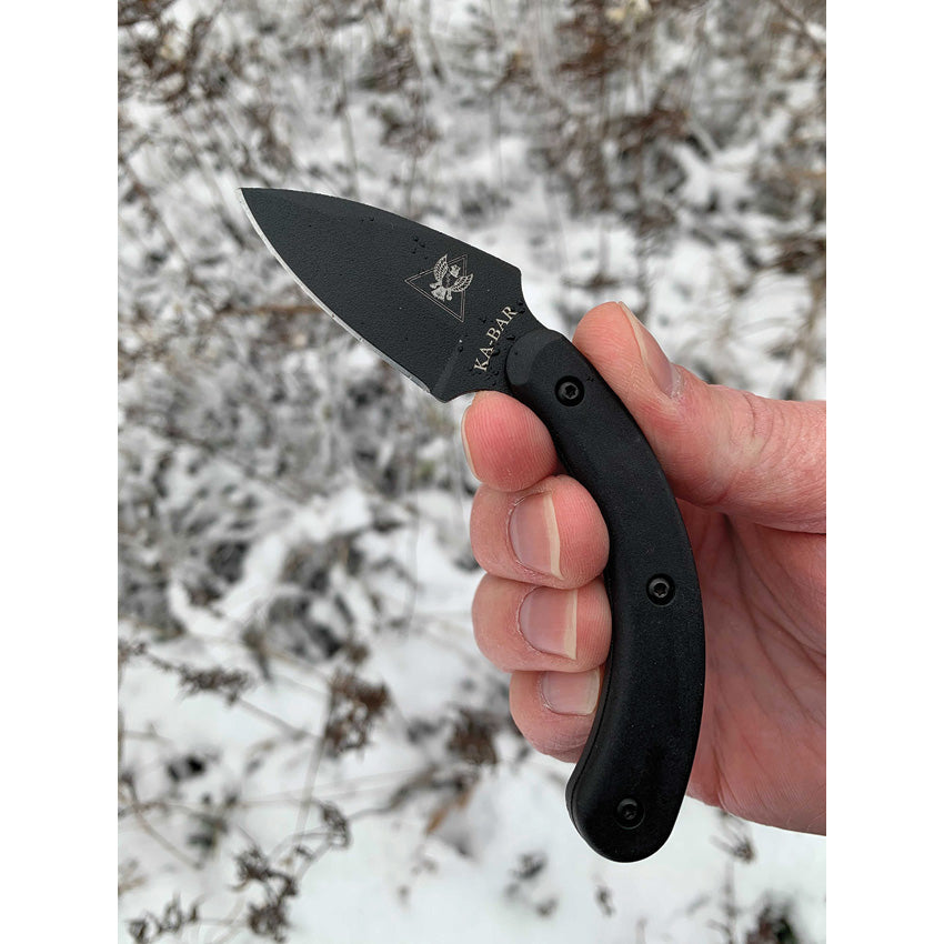 KA1494 TDI Ladyfinger