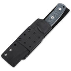 QS134B QSP Bison Fixed Blade Denim Jean