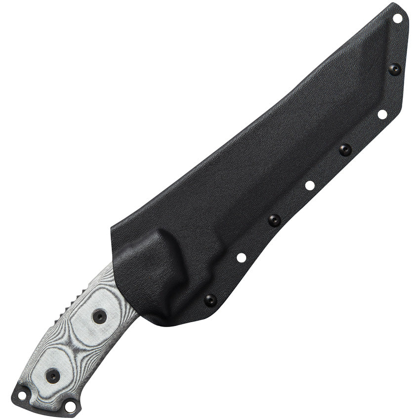 TP107D Steel Eagle