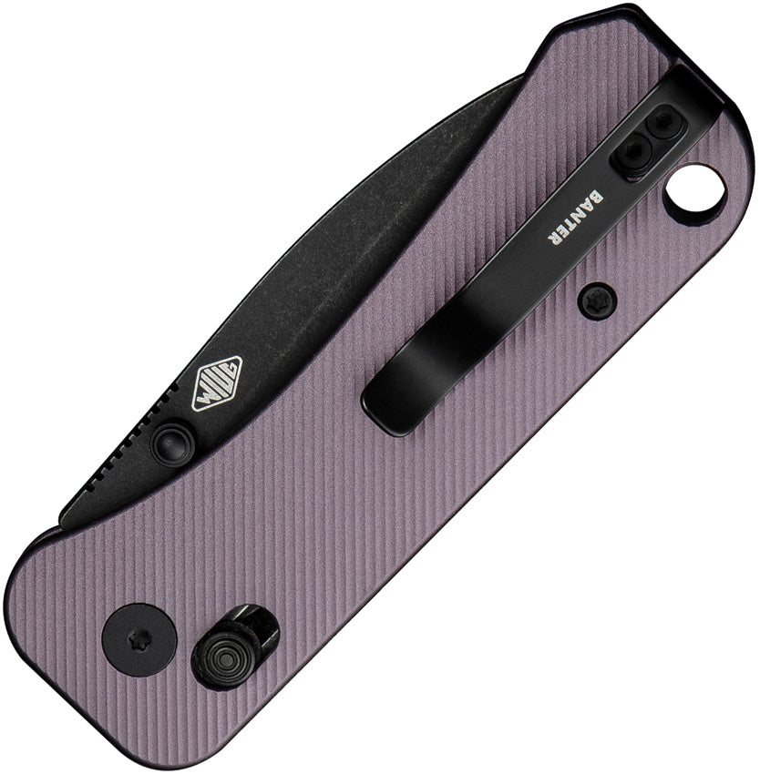 WE230752 Banter 2 Crossbar Lock Purple