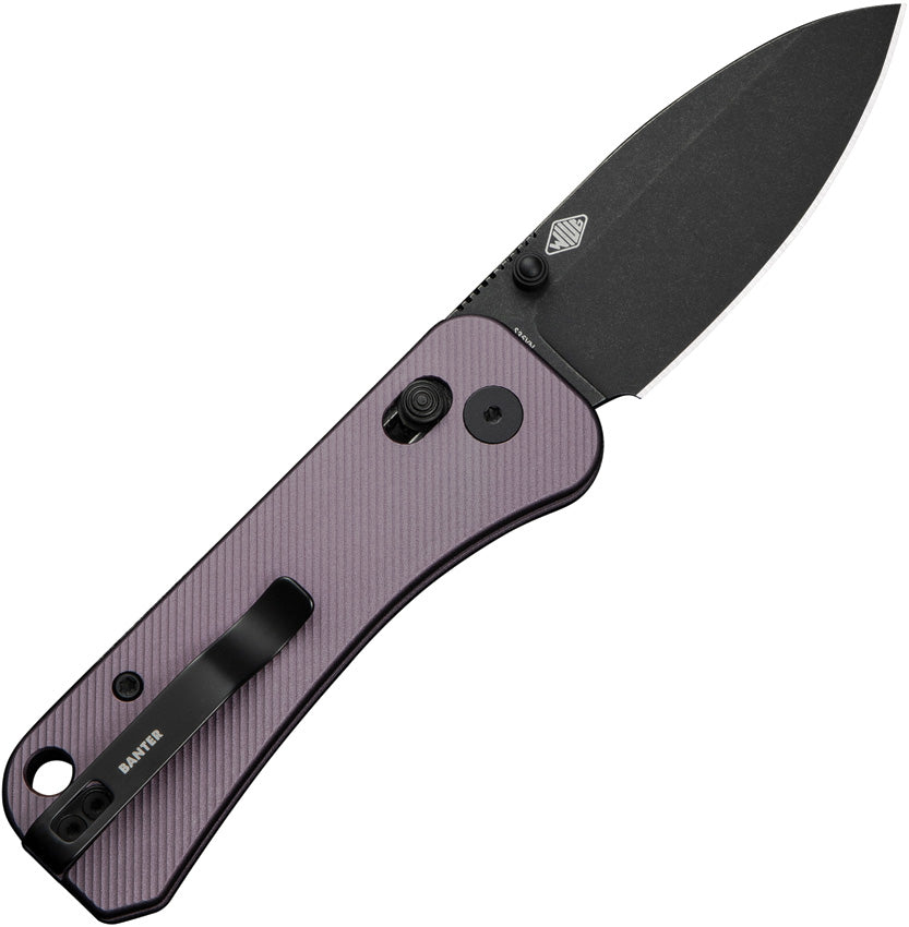 WE230752 Banter 2 Crossbar Lock Purple